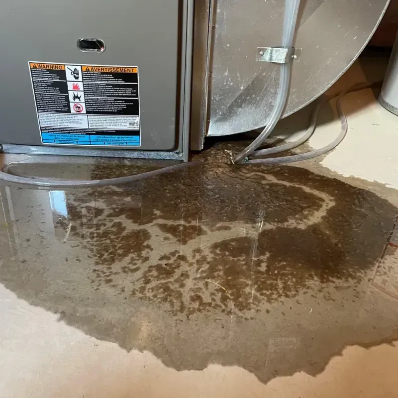 Appliance Leak Cleanup in Champlin, MN